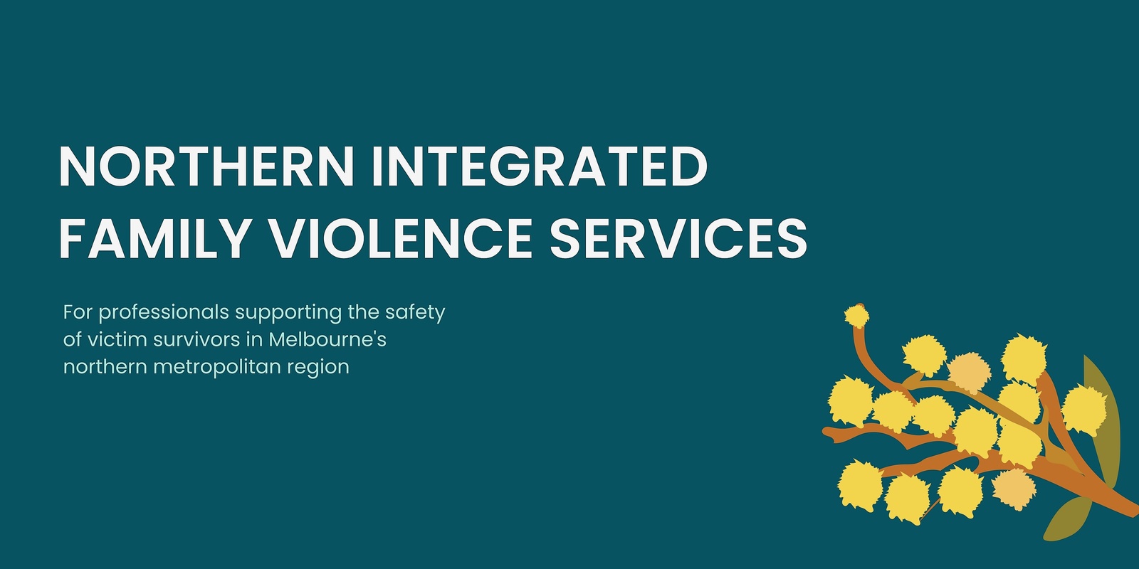 Northern Integrated Family Violence Service's banner