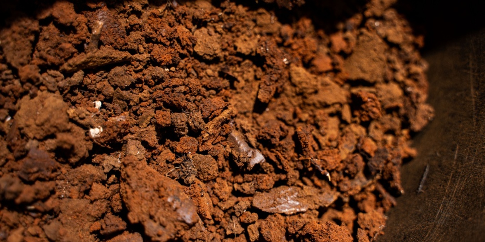 Banner image for Coonawarra Rootstock Trial Field Day