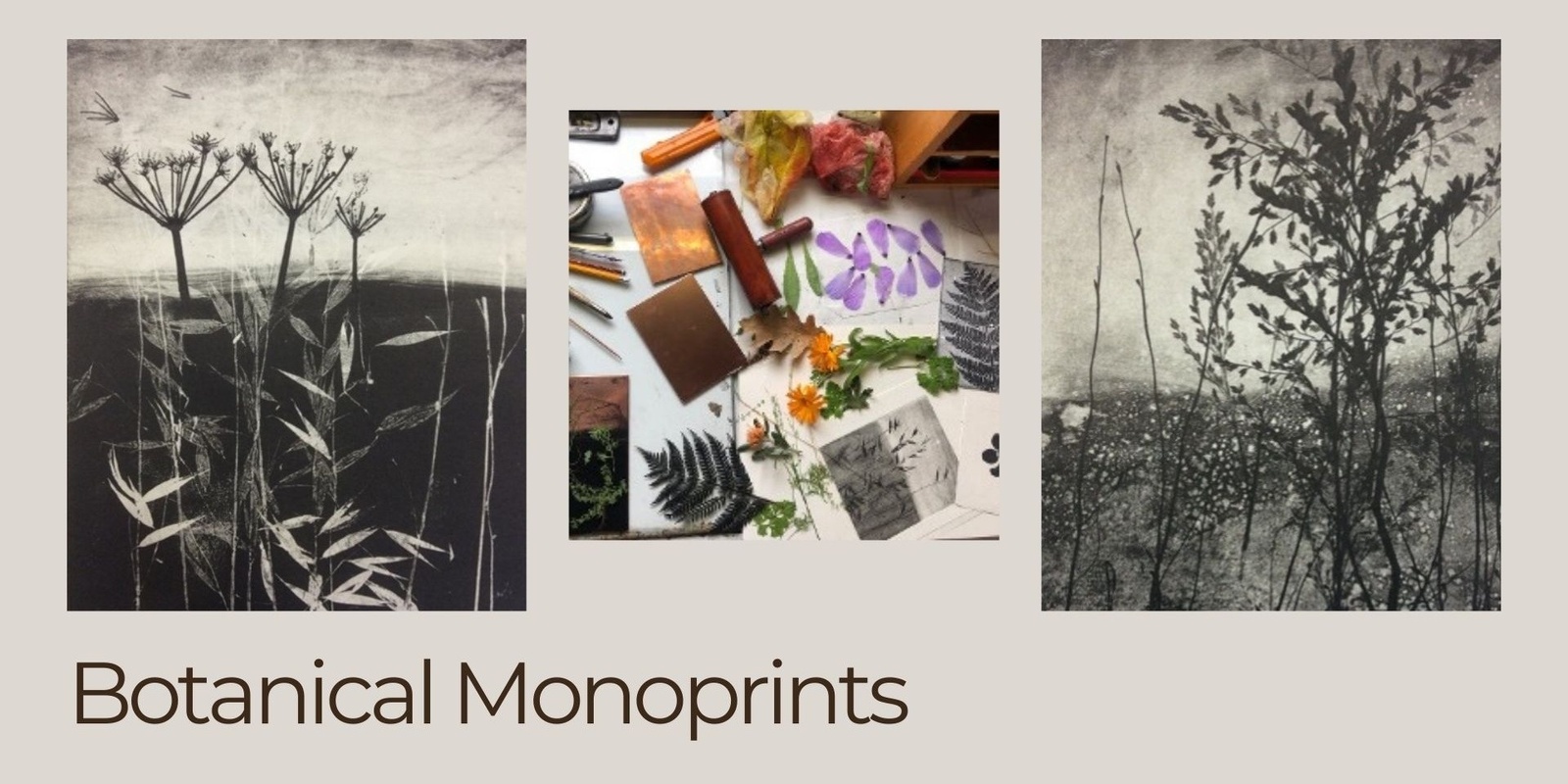 Banner image for Botanical Monoprints with Lorelei Medcalf