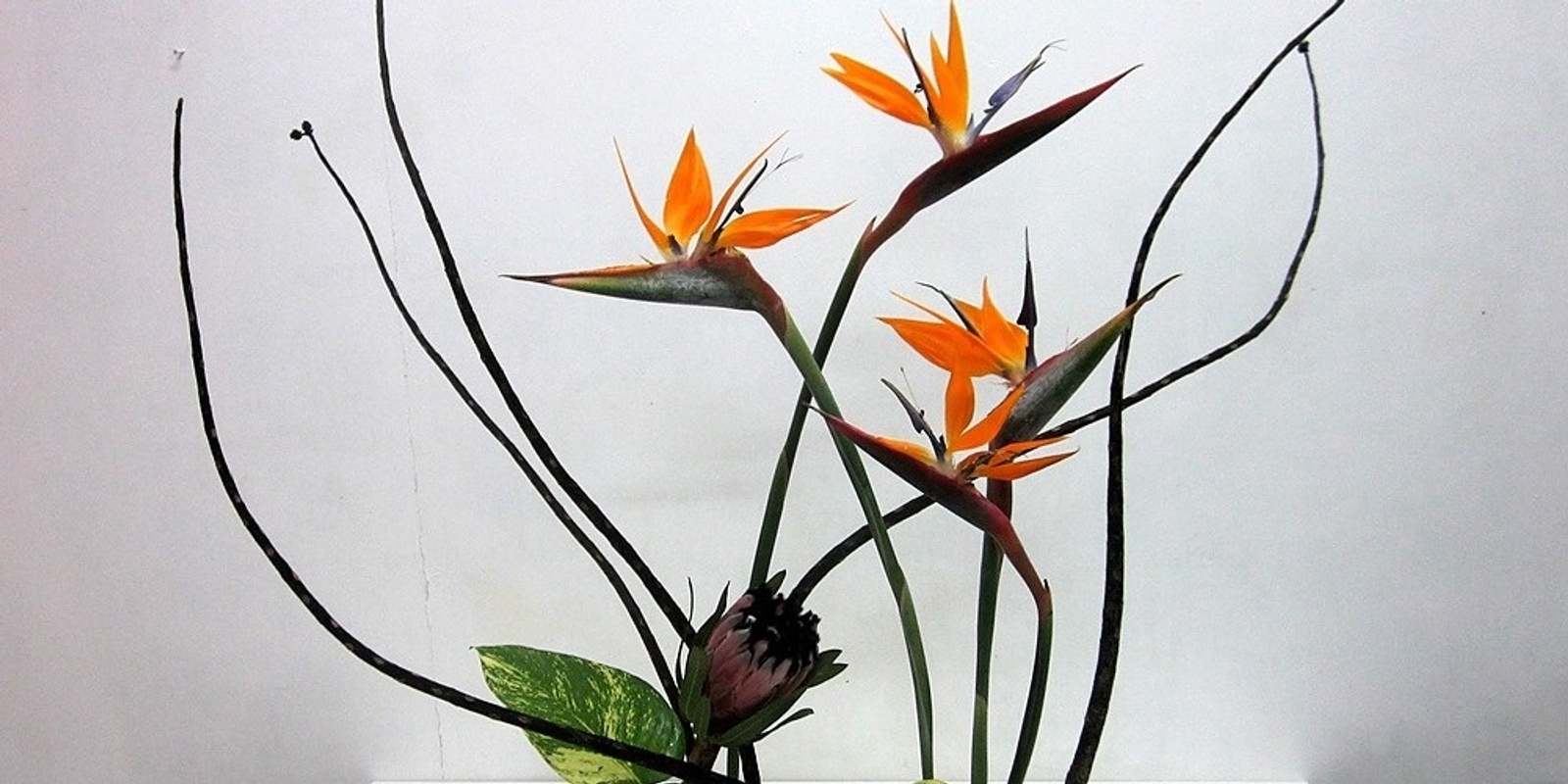 Banner image for Ikebana Demonstration with Lily Karmatz