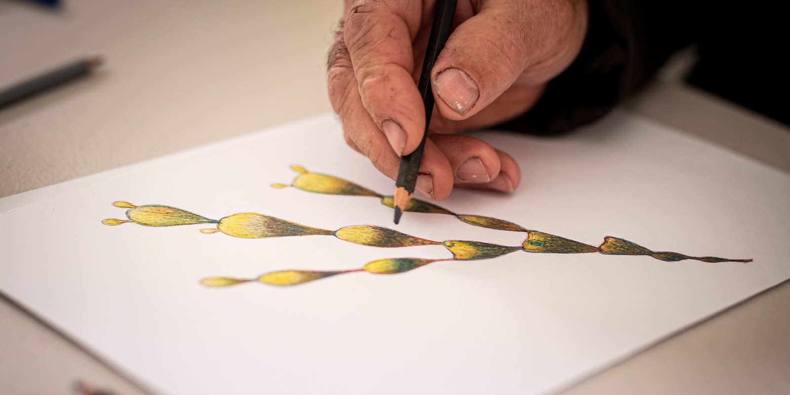 Banner image for Botanical Drawing Workshop with Anne Miles