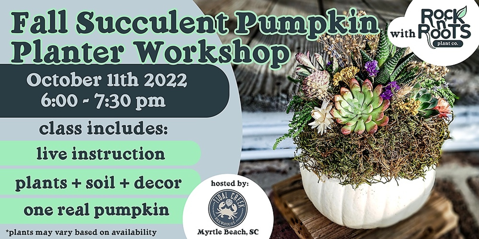 Banner image for Fall Succulent Pumpkin Planter Workshop at Tidal Creek Brewhouse (Myrtle Beach, SC)