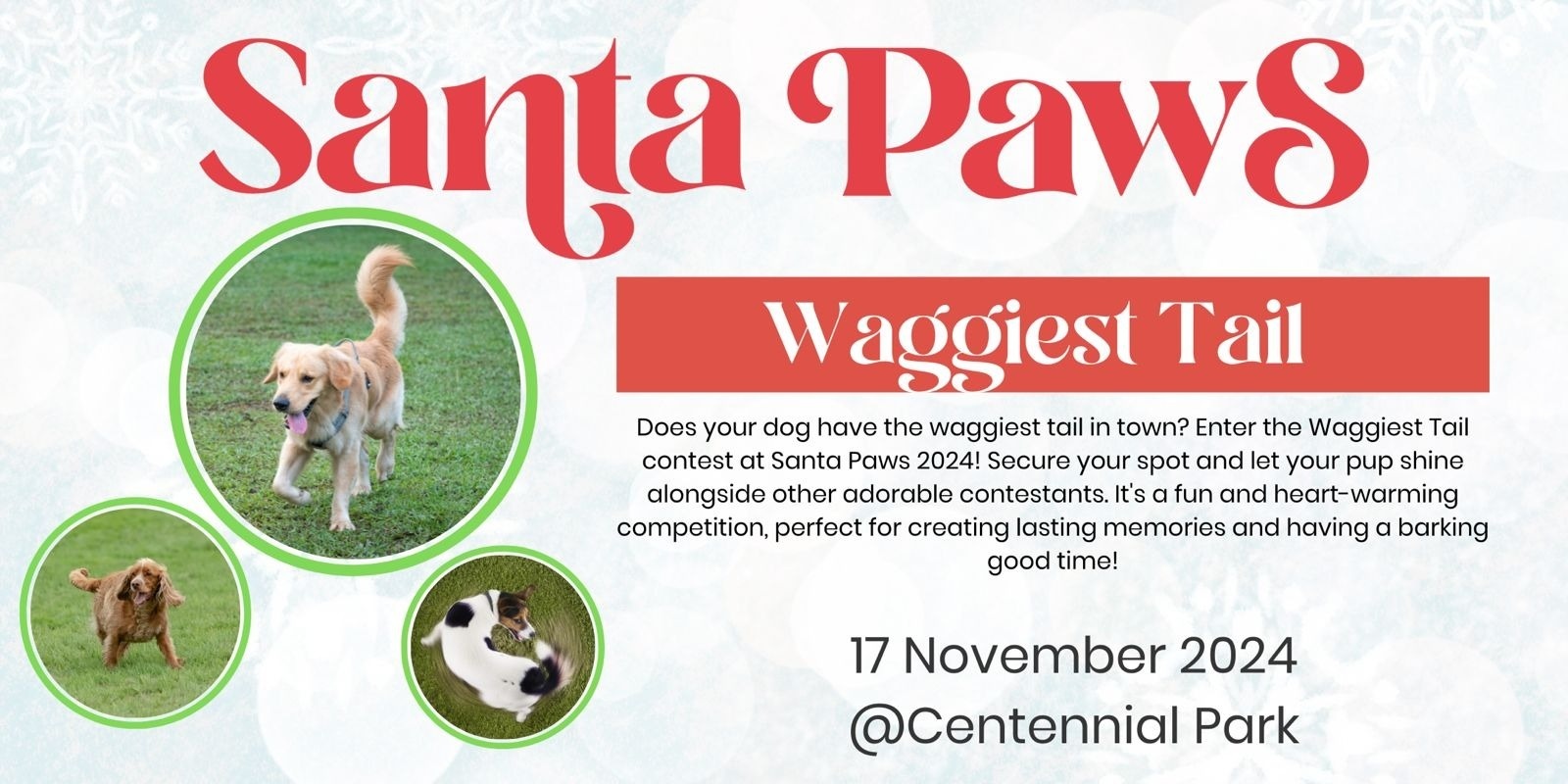 Banner image for Santa Paws Event 2024: Unleash Your Dog's Star Power! Enter the Waggiest Tail Competition.