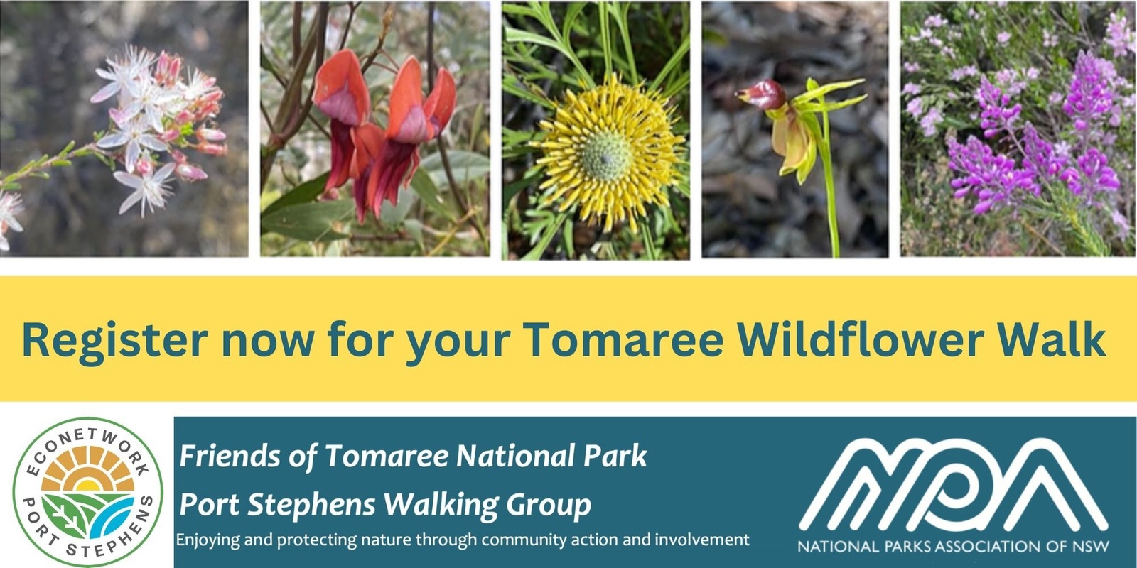 Banner image for Tomaree Spring Wildflower Walks