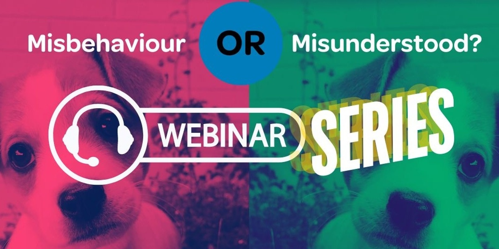 Banner image for Misbehaviour or Misunderstood - Webinar Series