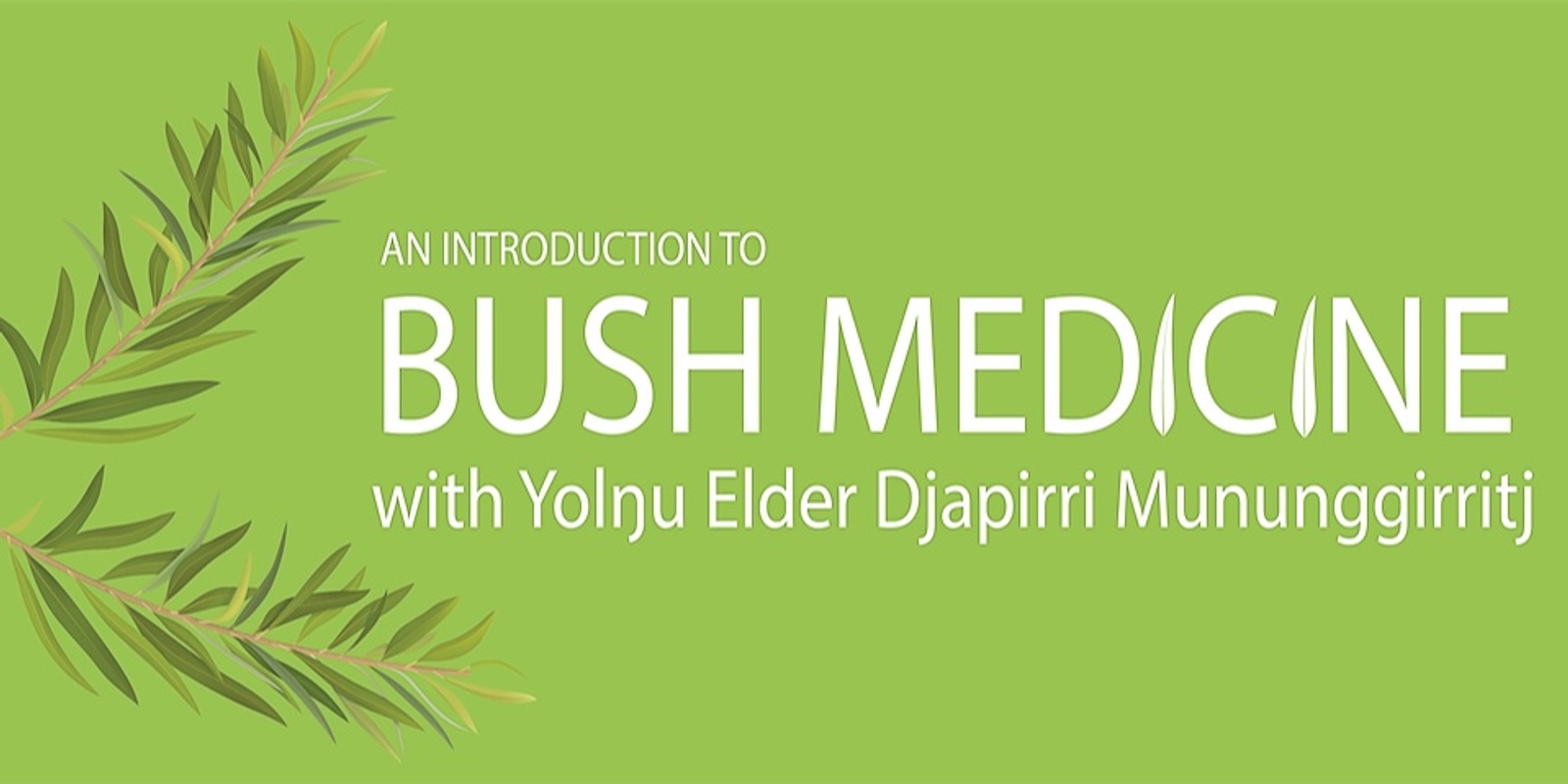 Banner image for An Introduction to Indigenous Bush Medicine with Yolŋu Elder Djapirri Mununggirritj