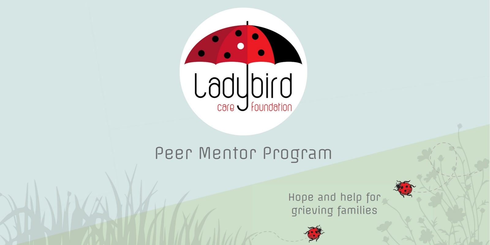 Banner image for Queensland Information Session:  Ladybird Care Peer Mentor Program for bereaved parents 