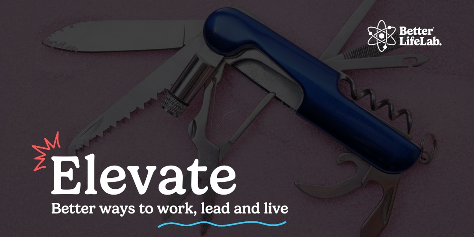 Banner image for Elevate how you work, lead & live.