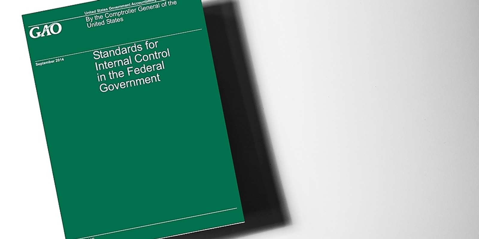 Banner image for The GAO Green Book Standards