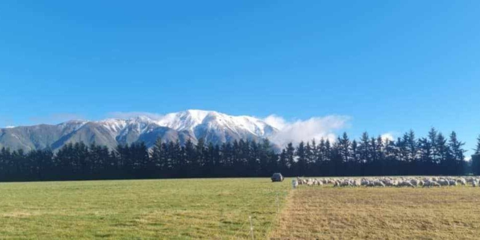 Banner image for Soil Health and Grazing Farm Discussion Day