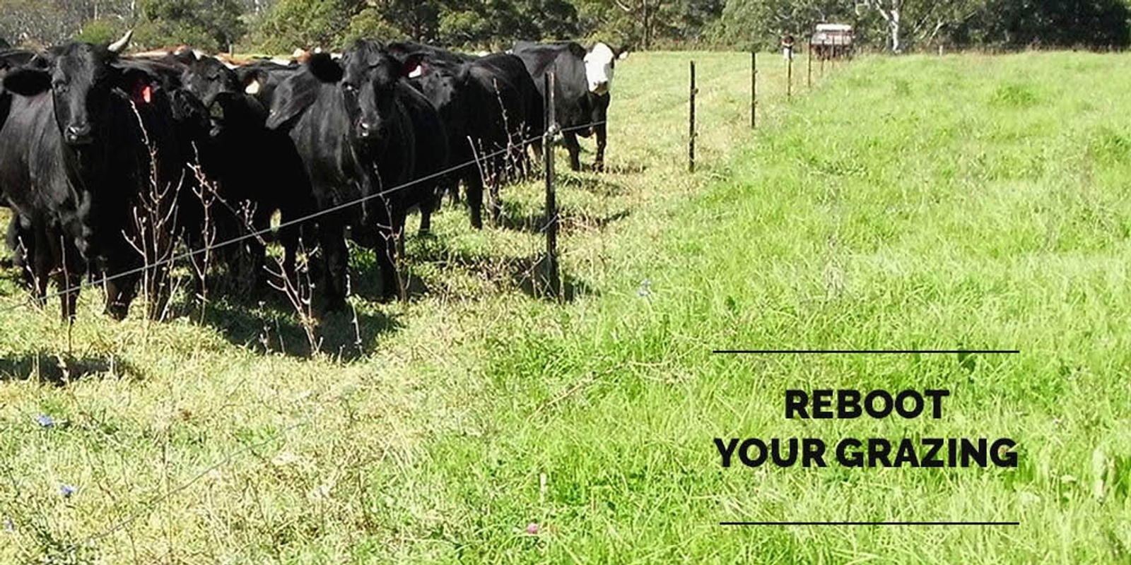 Banner image for Reboot your grazing: Online Course July 2024