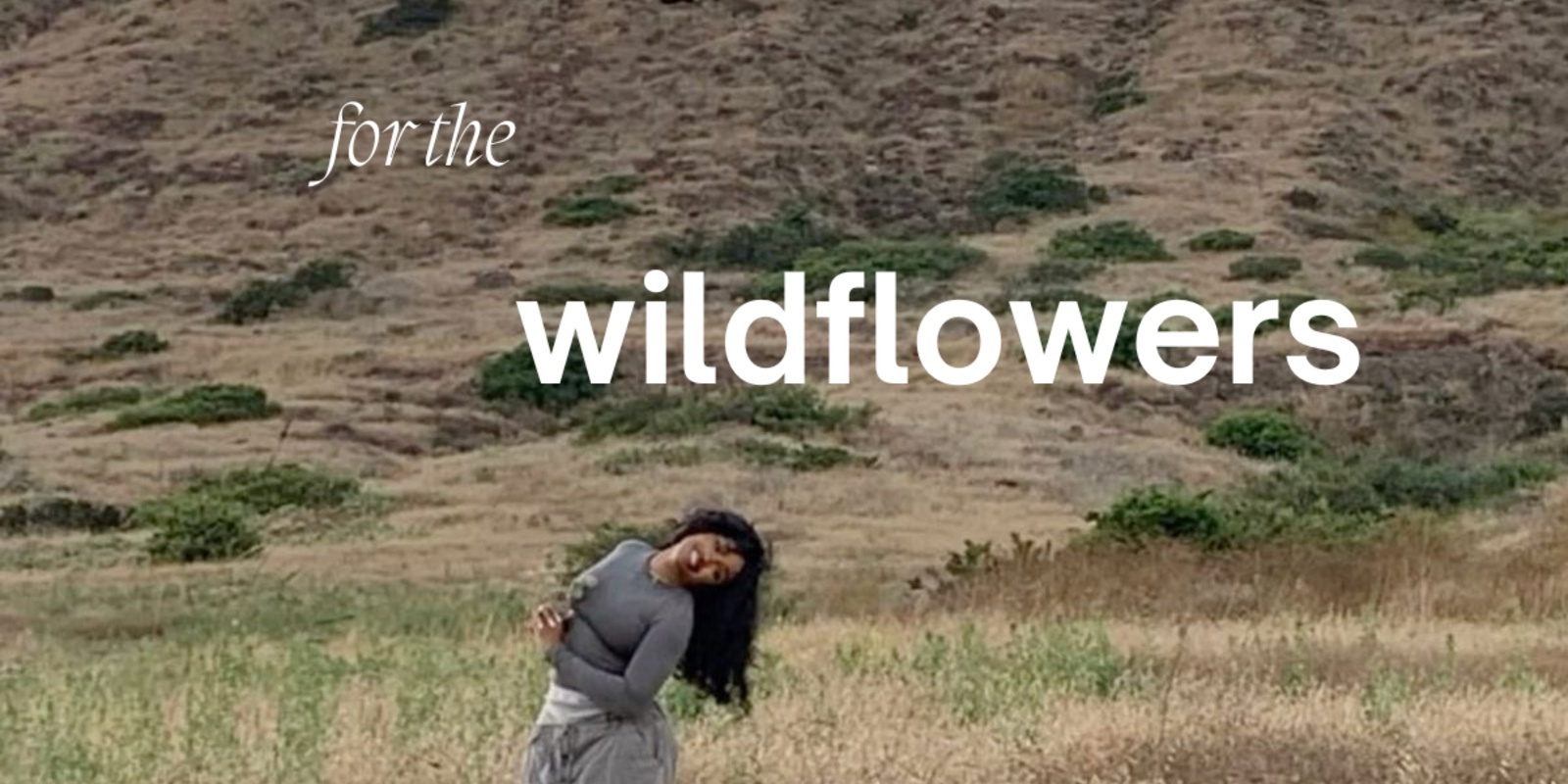 Banner image for for the wildflowers