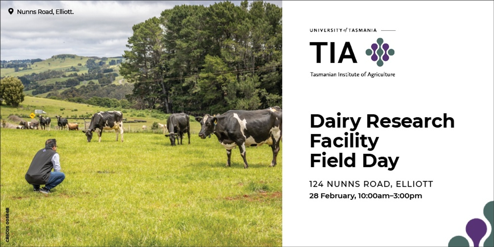 Banner image for TIA Dairy Research Facility Field Day