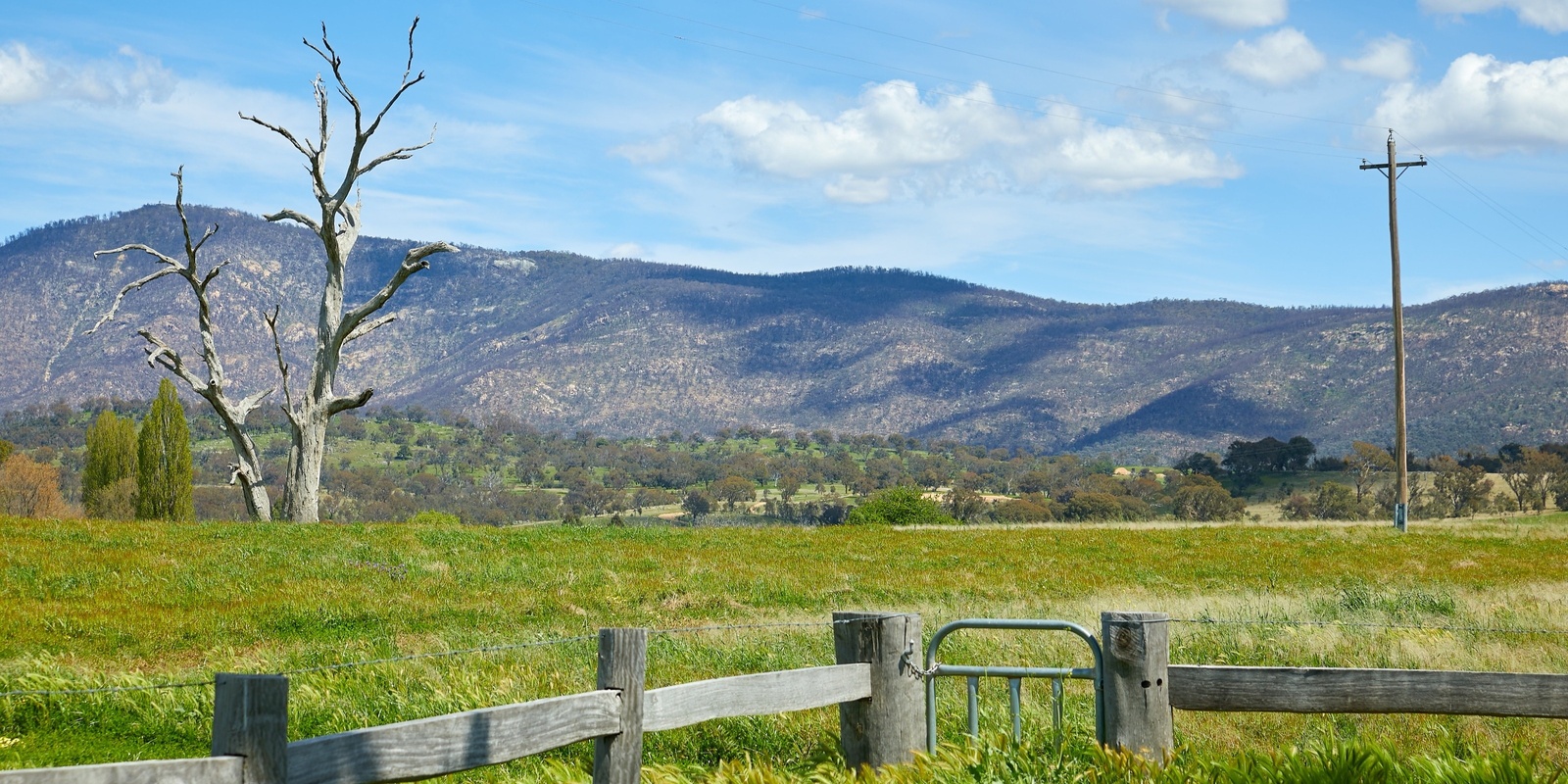 Banner image for Beyond The Farm Gate - Floriade at Lanyon Homestead 2024