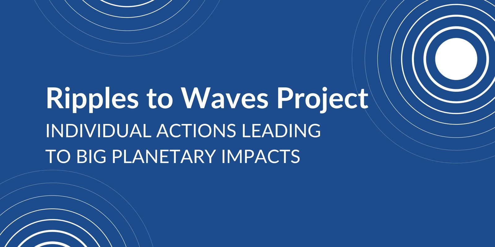 Ripples to Waves Project's banner