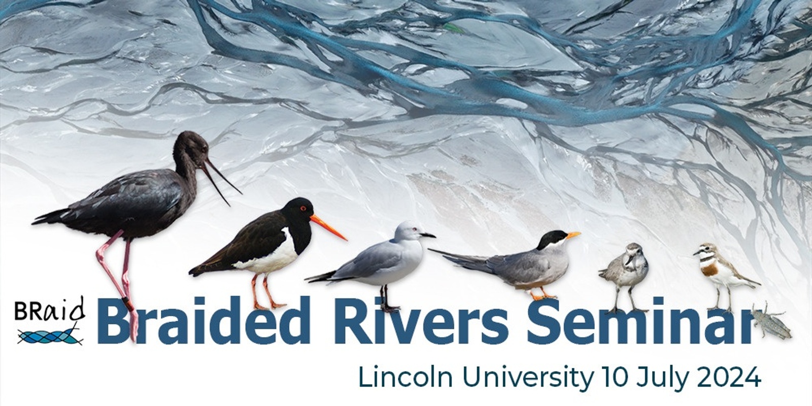 Banner image for Braided Rivers Seminar 2024