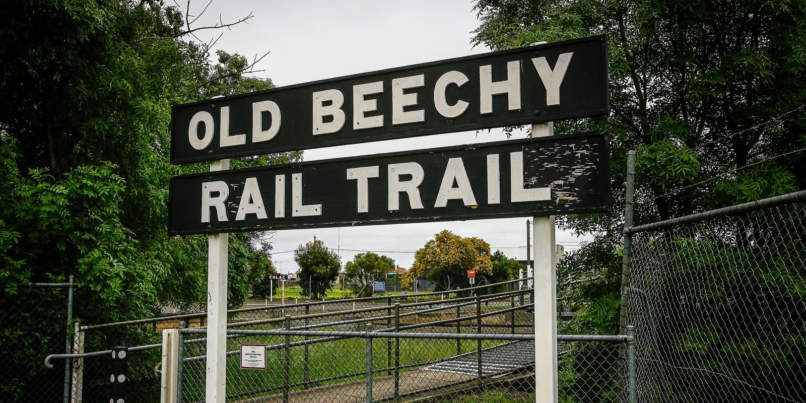 Banner image for Old Beechy Line Rail Trail/Melba Gully Otways Forest - Grade 2 (Easy)