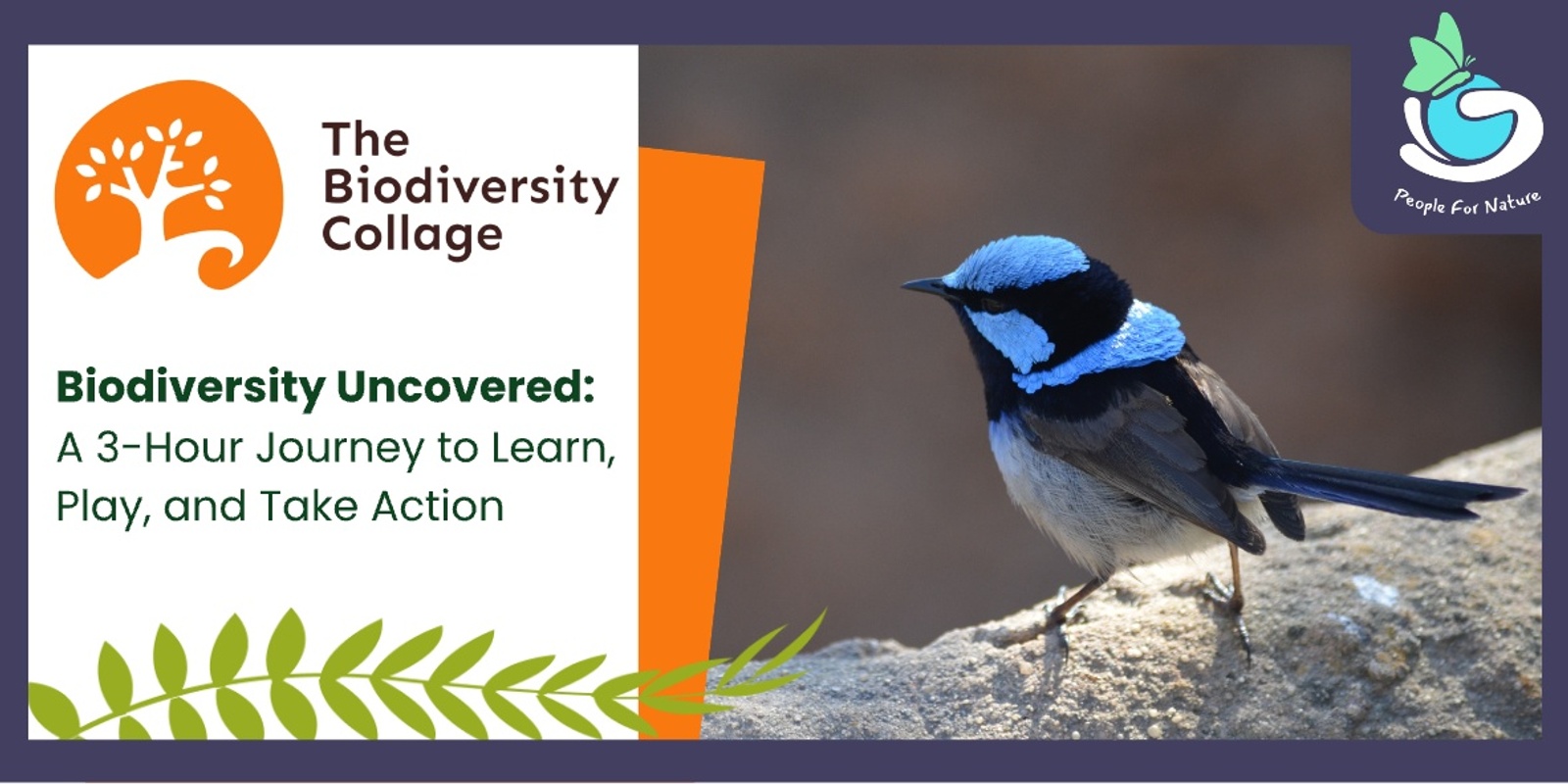 Banner image for Biodiversity Collage Brisbane - World Wildlife Day - March 2025