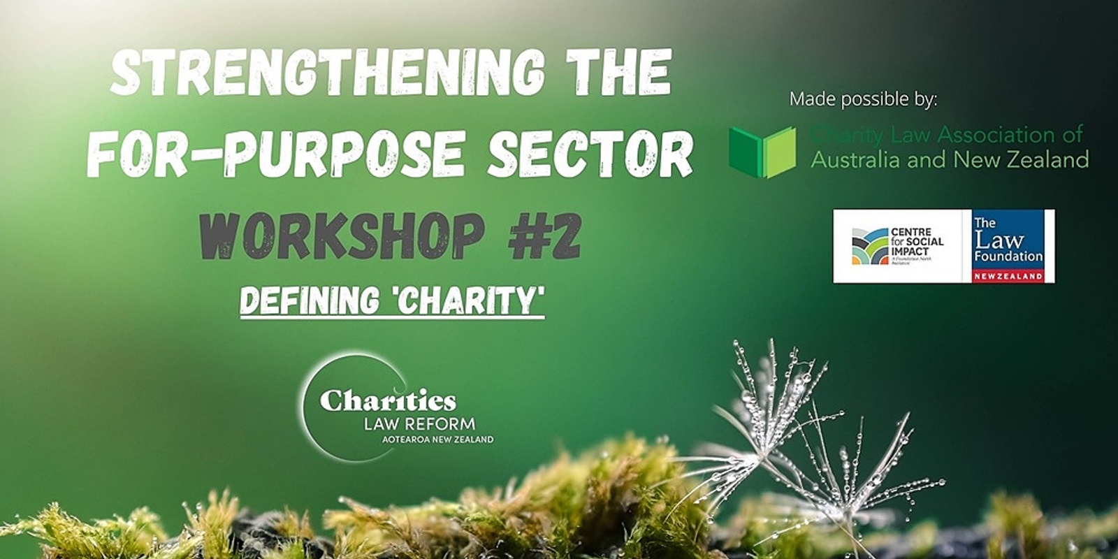 Banner image for Strengthening the for-purpose sector #2