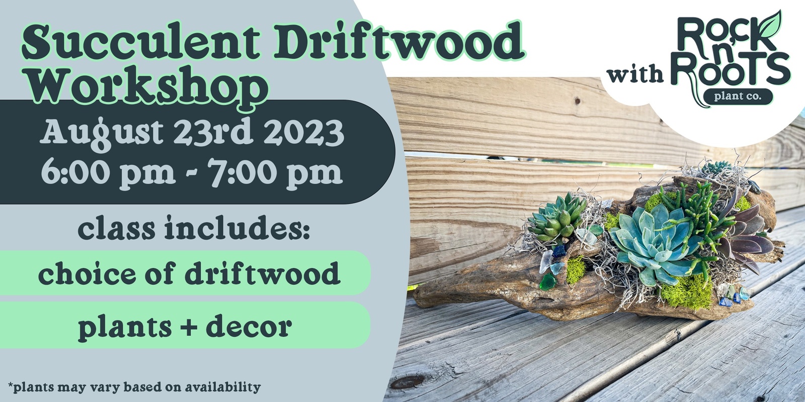 Banner image for Succulent Driftwood Workshop at Rock n' Roots Plant Co. (Pawleys Island, SC)