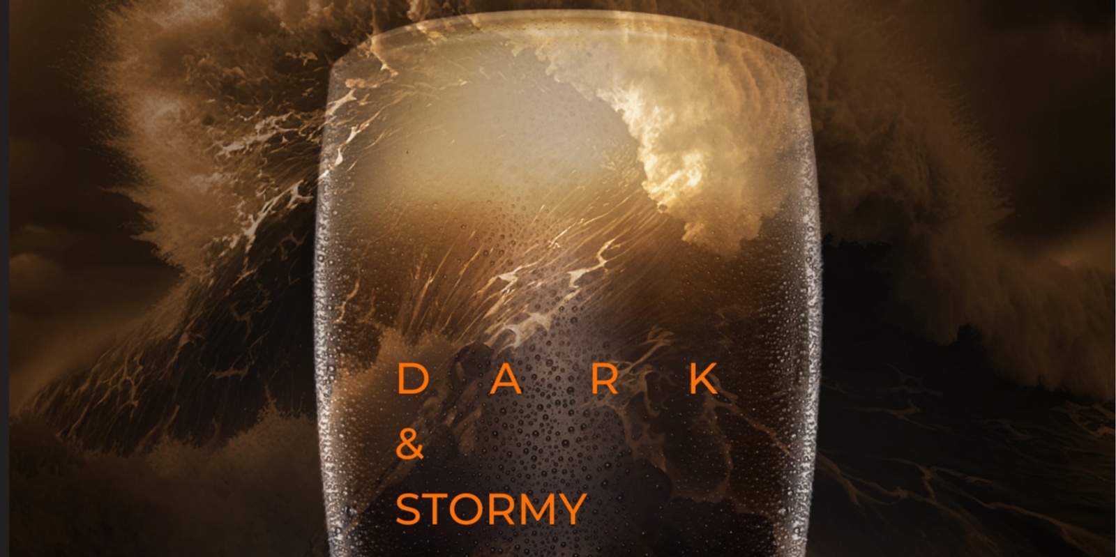 Banner image for Dark & Stormy Beer Fest 