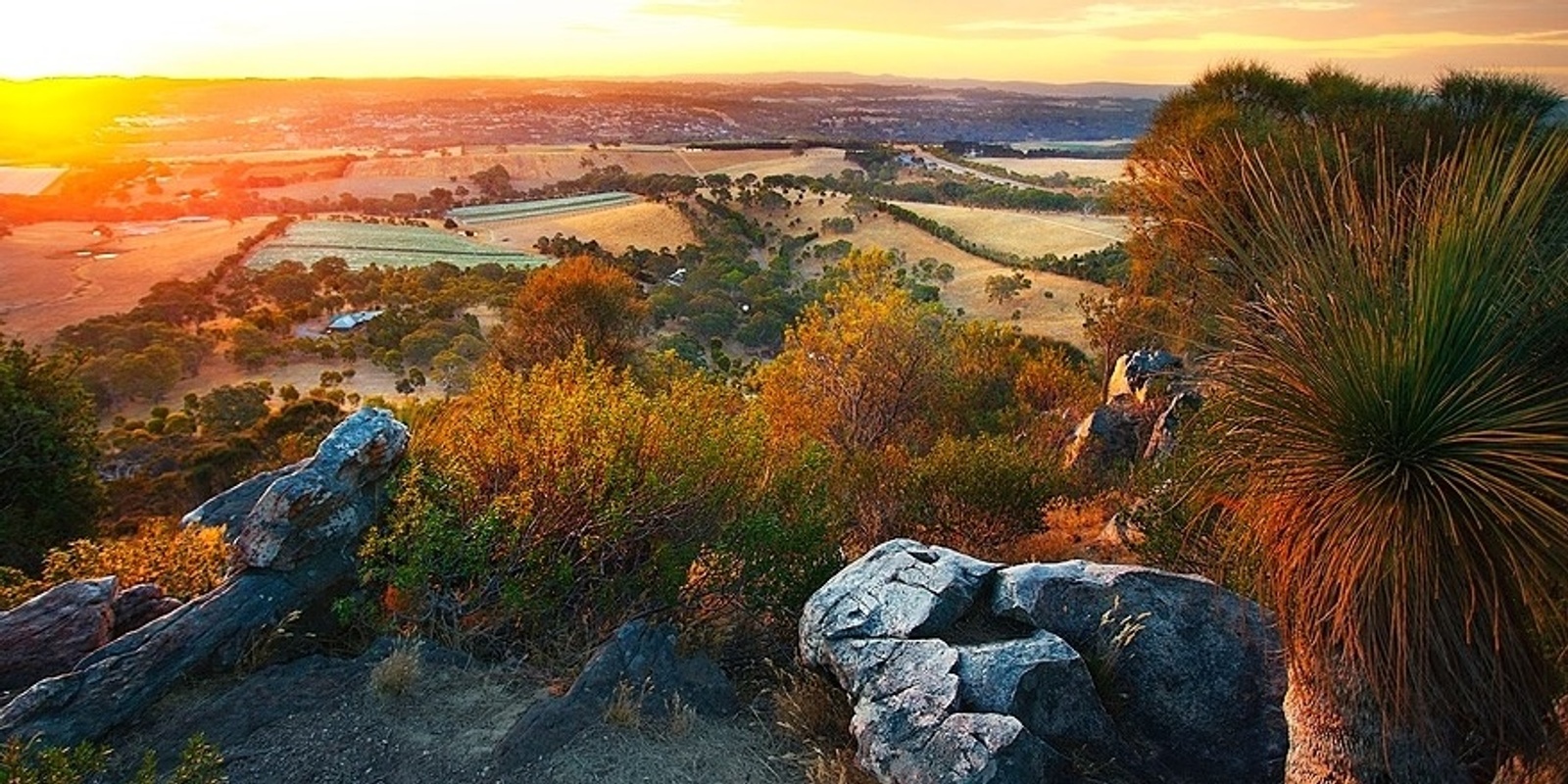 Banner image for Imagining local regeneration together with WWF-Australia and partners