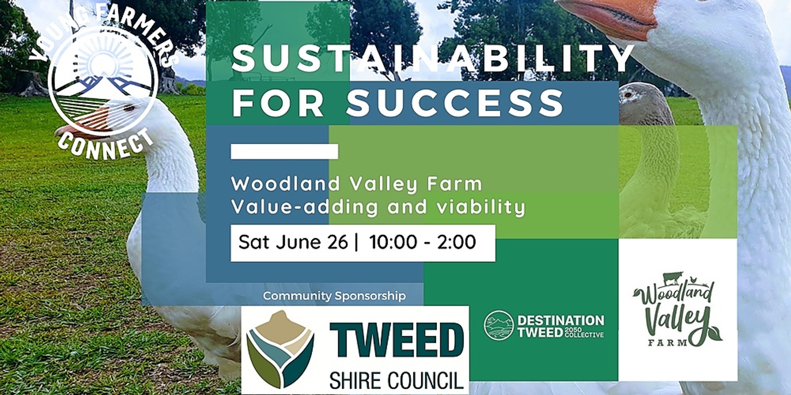 Banner image for Sustainability of Success 