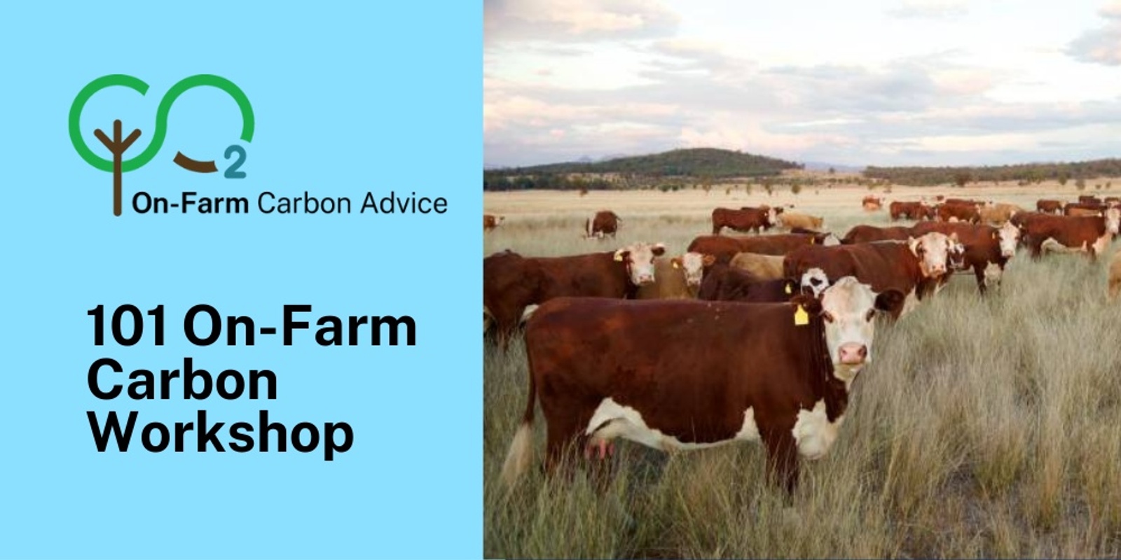 Banner image for 101 On-Farm Carbon Workshop - Merriwa