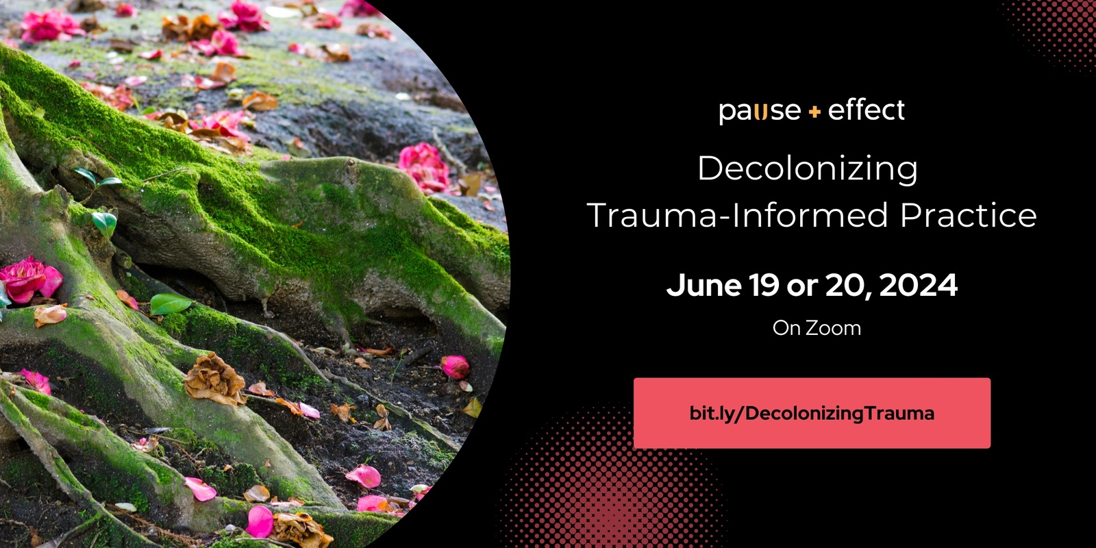 Banner image for Decolonizing Trauma-Informed Practice