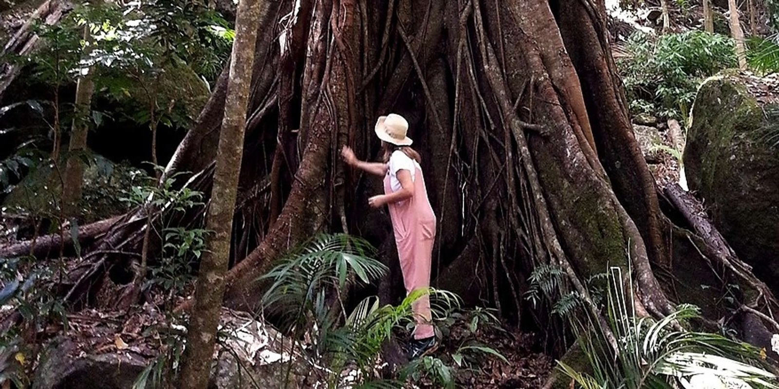 Banner image for Guided Nature Therapy Walk