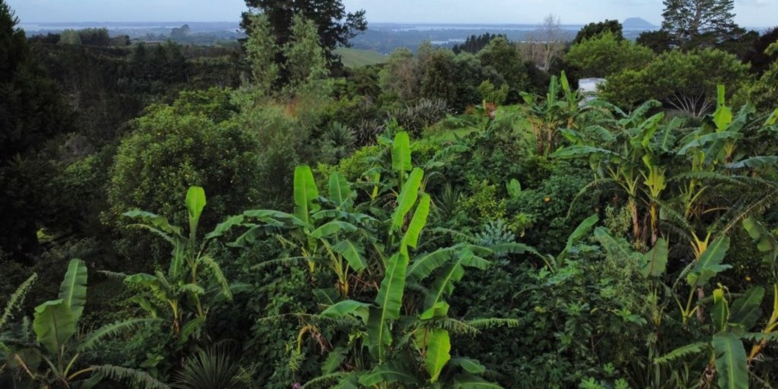 Banner image for Regional Kai Resilience Hui, Food Forest Tour + Lunch