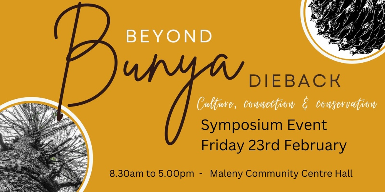 Banner image for Beyond Bunya Dieback Symposium - culture, connection and conservation.