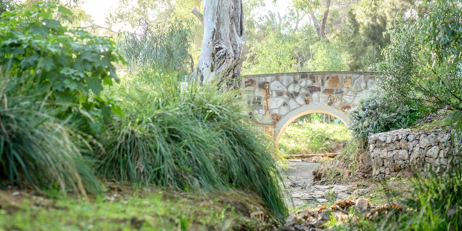 Banner image for Walking tour through Ridge Park