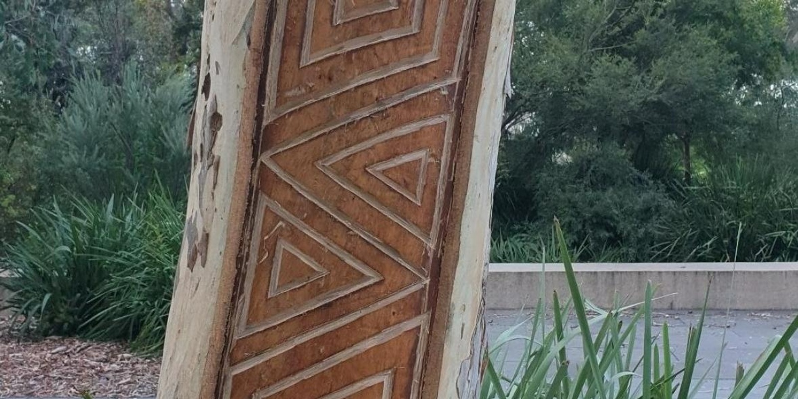 Banner image for Tree carving on ANU Campus by Paul Girrawah House