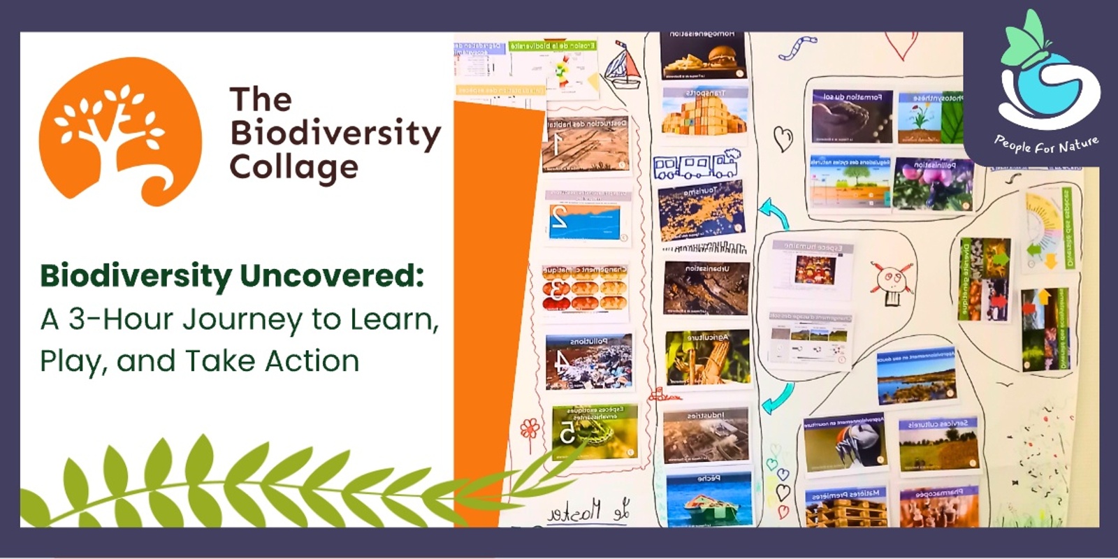 Banner image for Biodiversity Collage Melbourne - February 2025