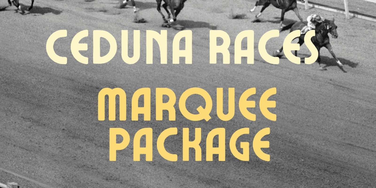 Banner image for Ceduna Races Marquee Package