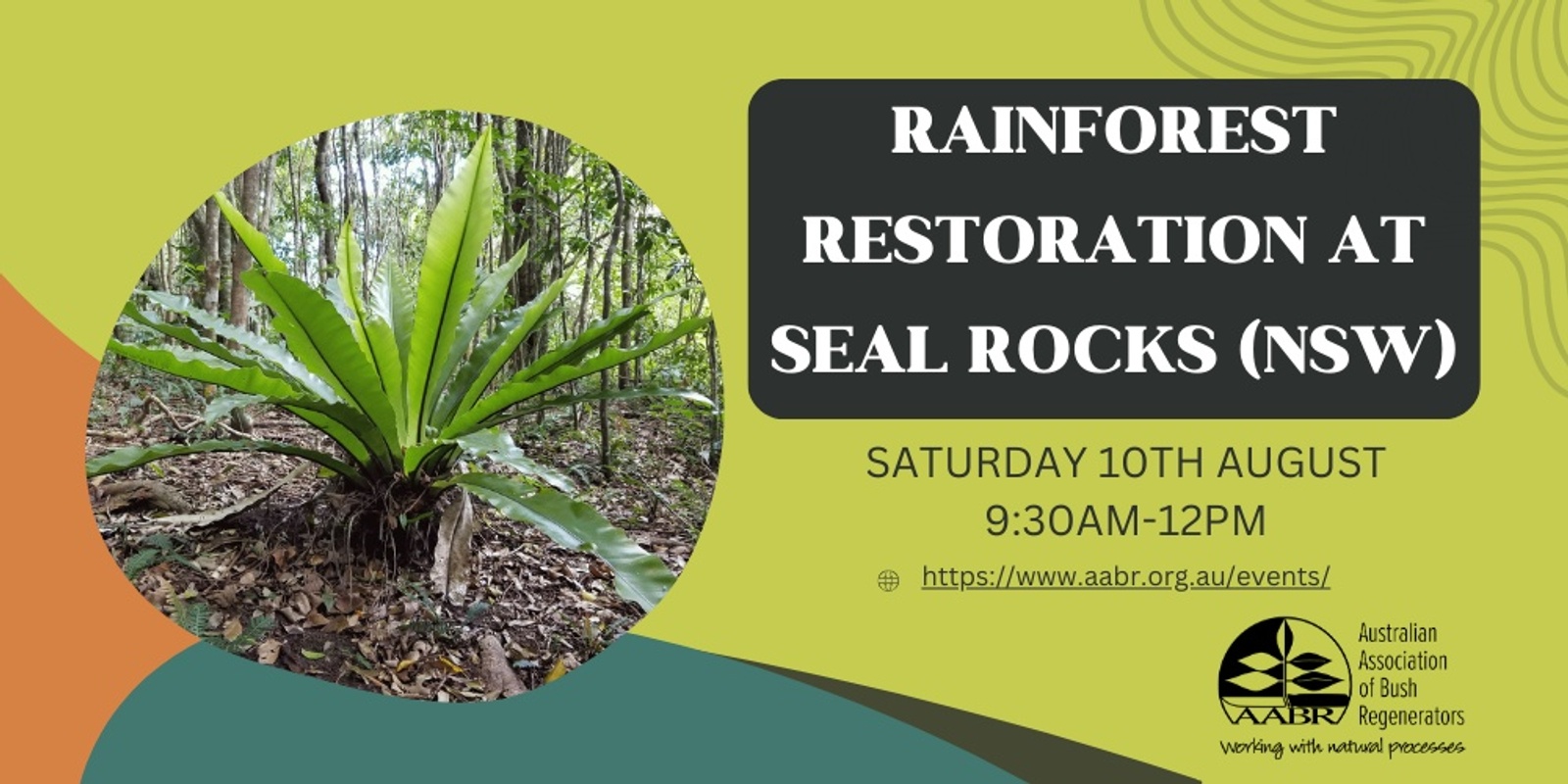 Banner image for Rainforest Restoration at Seal Rocks