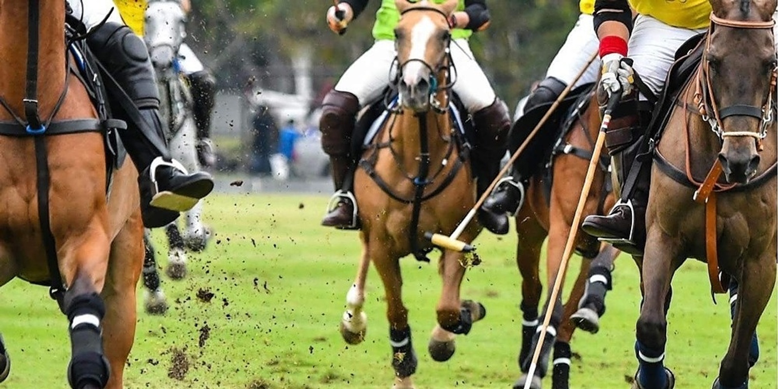 Banner image for Sheffield Country Polo 2024