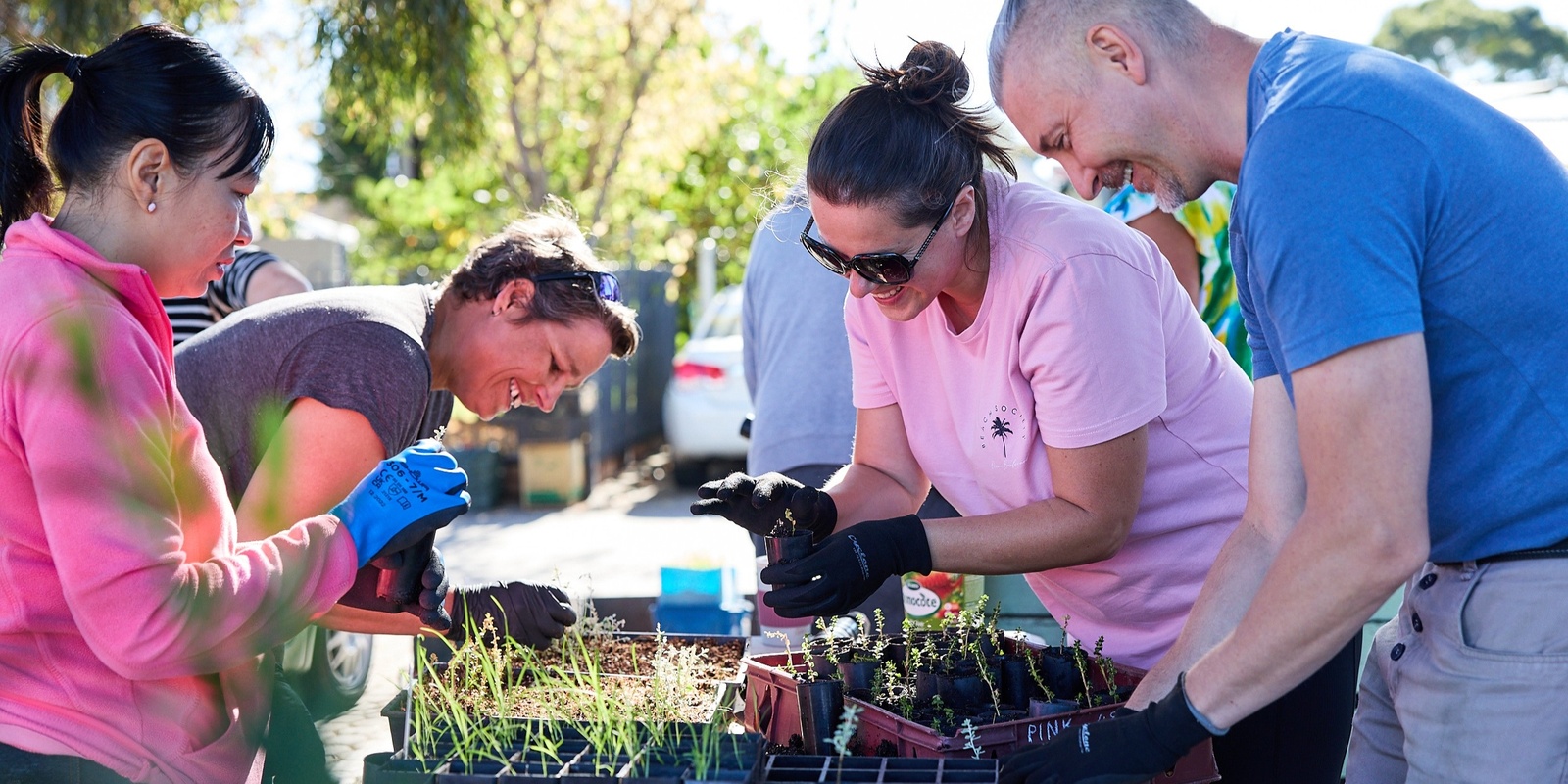 Banner image for Working in and with community: a skill development workshop for people doing social and ecological work