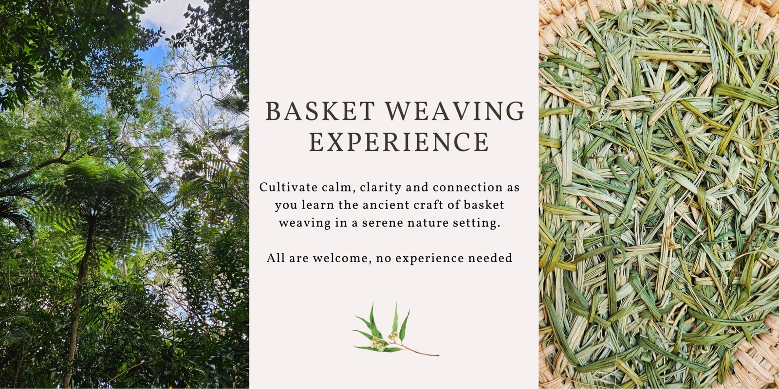 Banner image for Basket Weaving in Nature - Cobbled Raffia Baskets