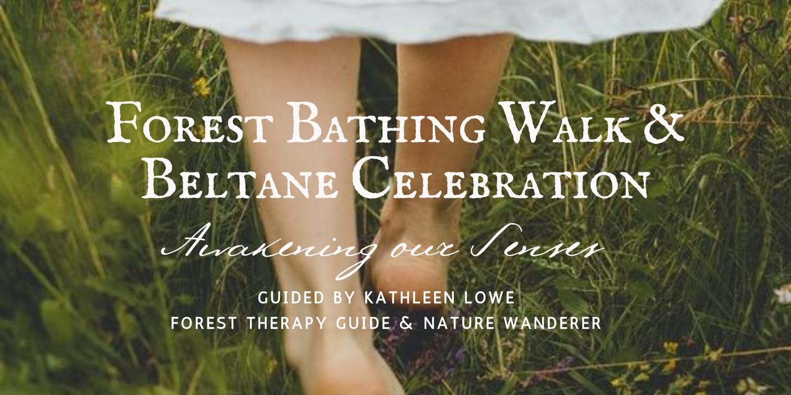 Banner image for Forest Bathing Walk & Celebration of Beltane