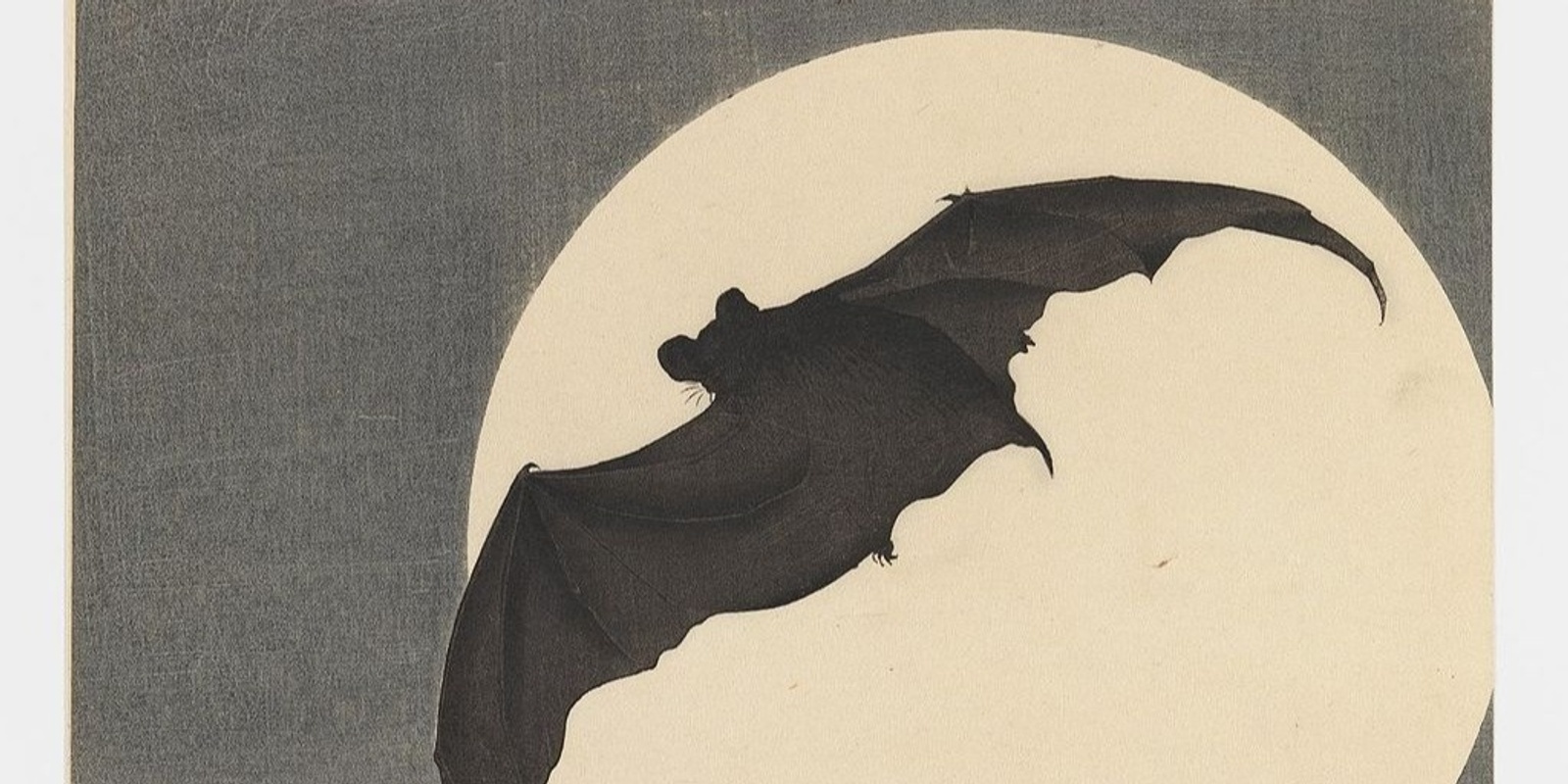 Banner image for Moonlit Mindfulness: A Spooky, Batty Experience