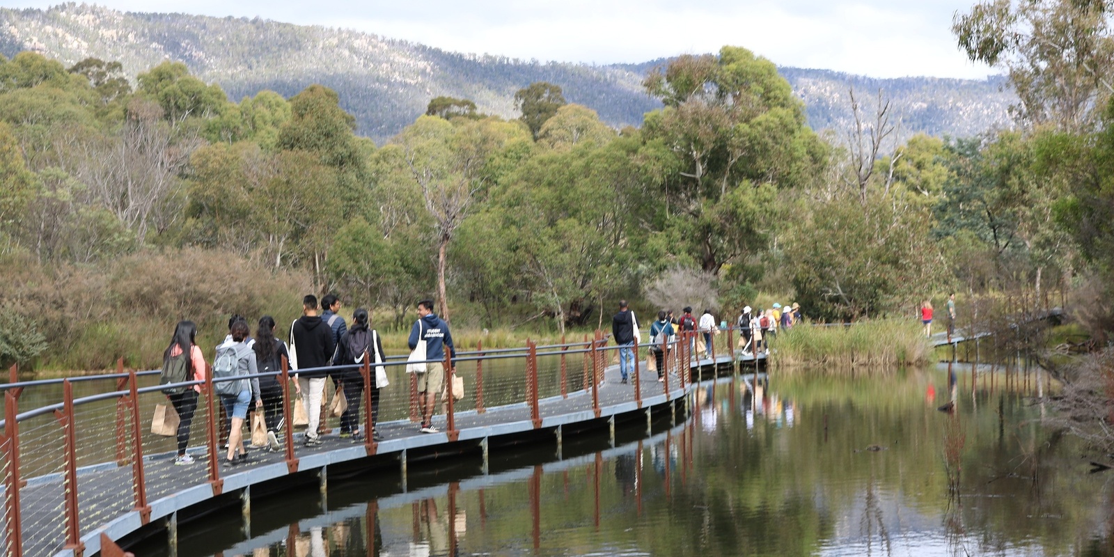 Banner image for Wellbeing Excursion: Tidbinbilla Nature Reserve