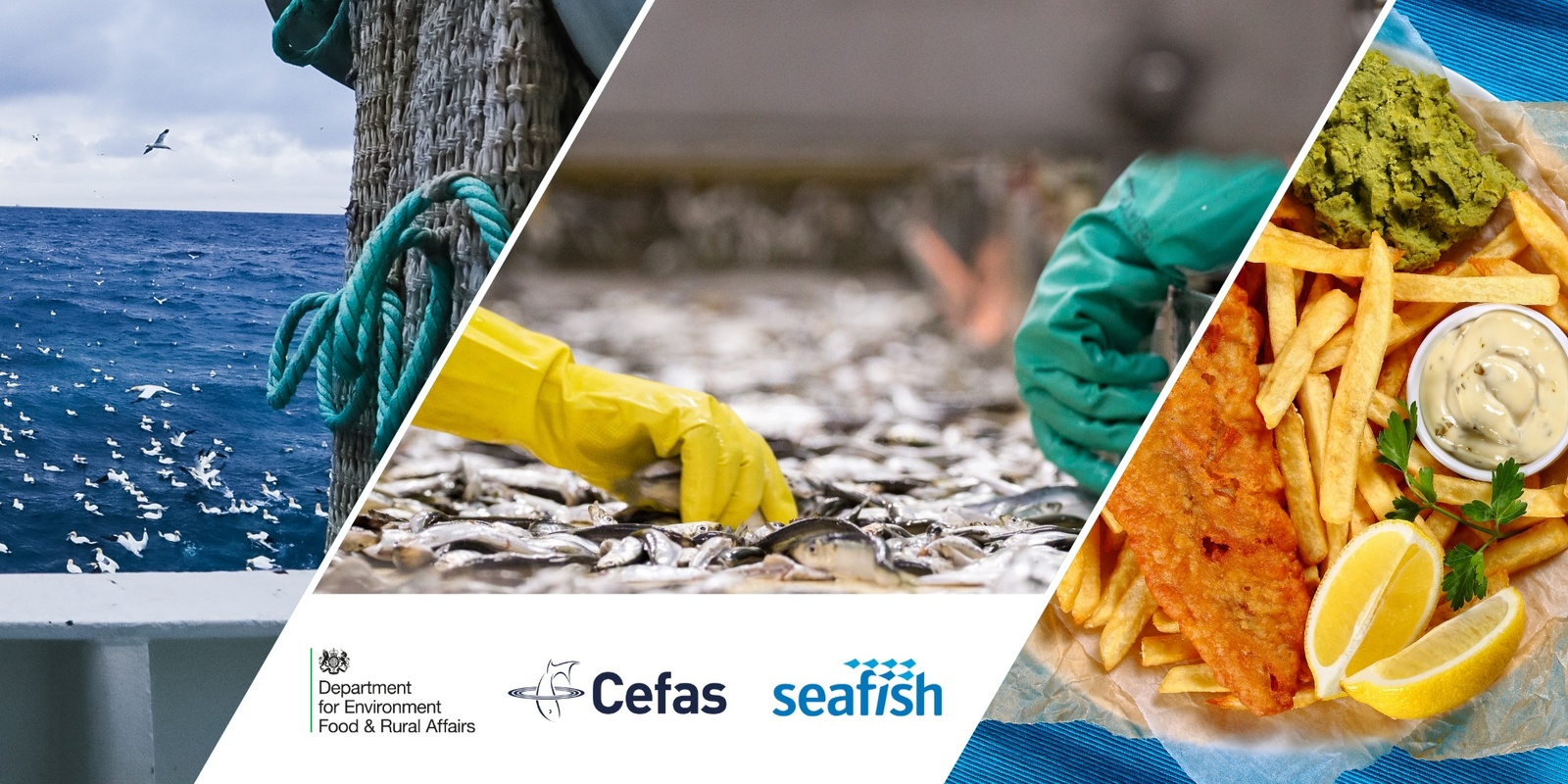 Banner image for Seafood Innovation 2025