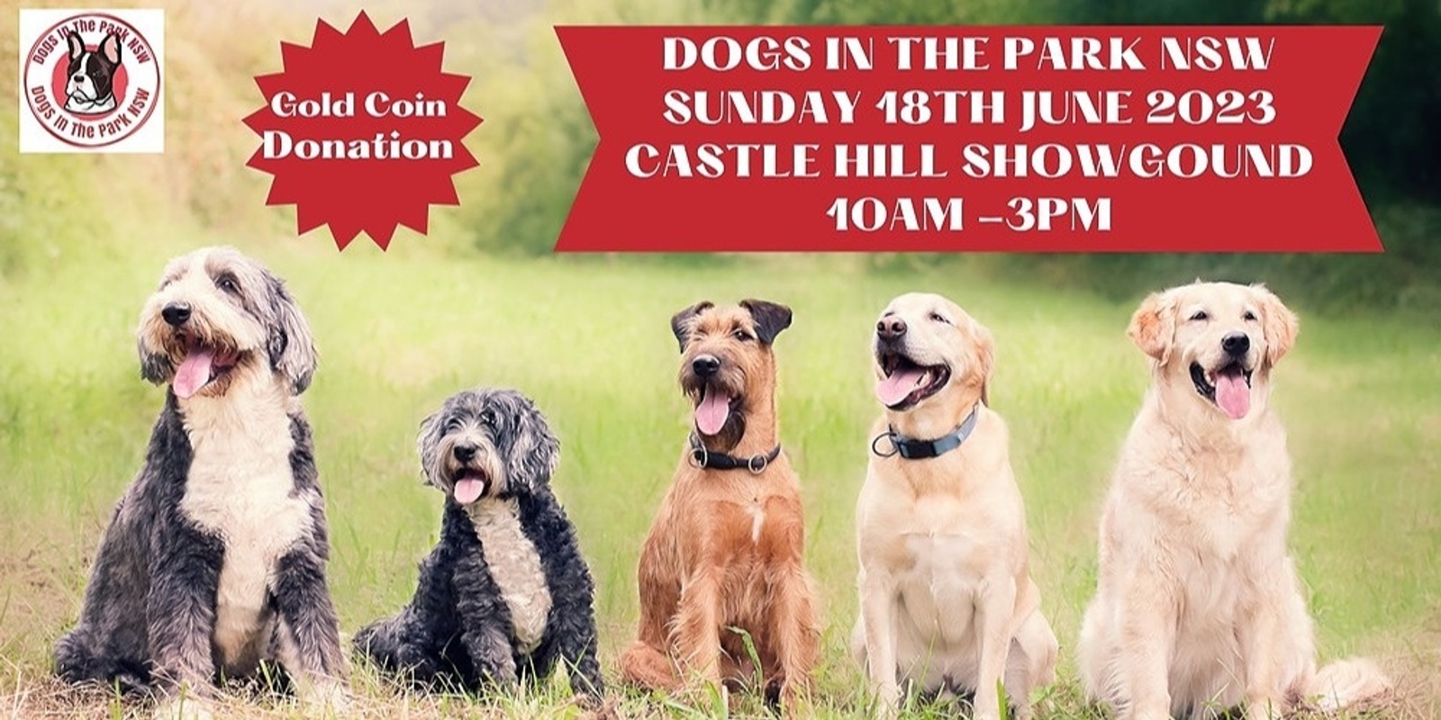 Banner image for Dogs in the park NSW Castle Hill