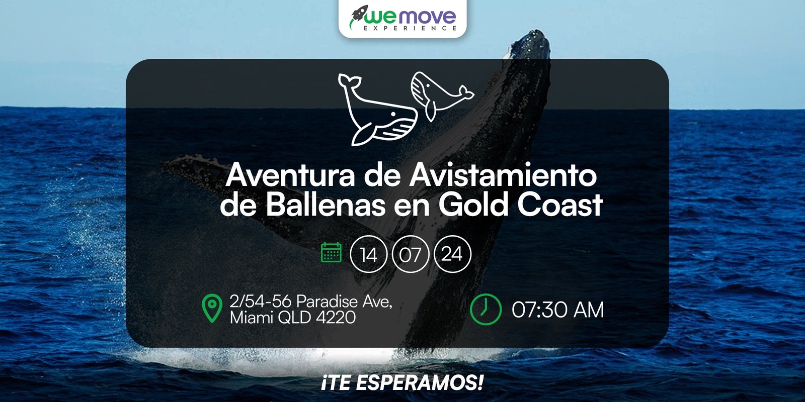 Banner image for Aventura de Avistamiento de Ballenas en Gold Coast