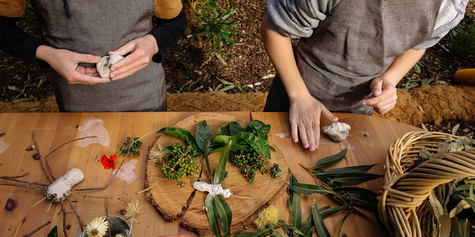 Banner image for We're Going on a Bug Hunt - Royal Botanic Garden Sydney