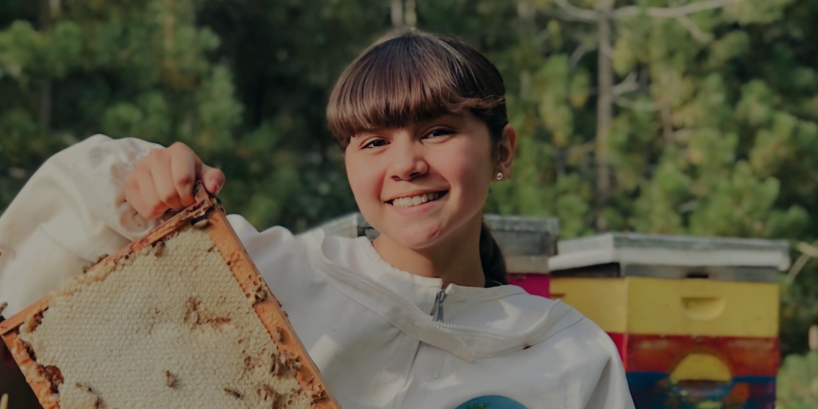 Banner image for HiveMind Community Apiary | Open Hive Experience for young people (10yrs-18yrs)