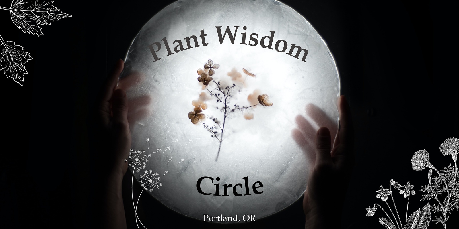 Banner image for Mystery Plant Wisdom Circle