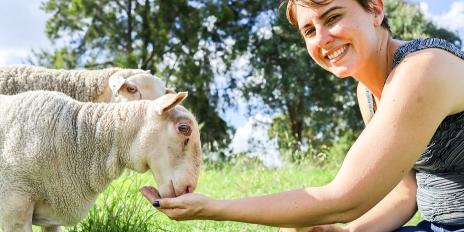 Banner image for South Canberra Community Market animal encounter sessions - 7 December